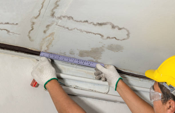 Reliable Burst Pipe Cleanup contractor in Chatham, IL by Water Damage Irwin